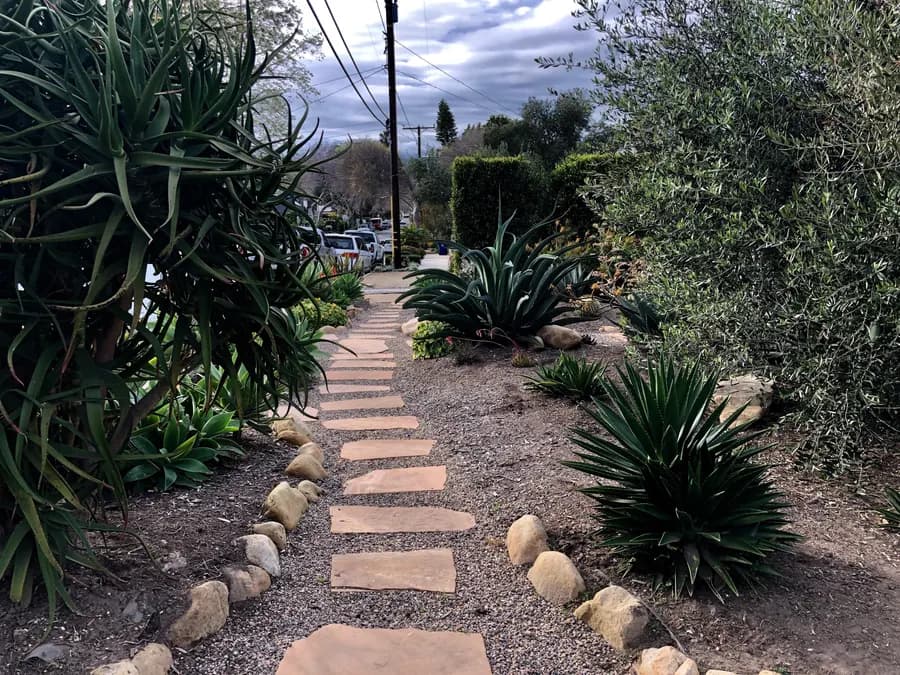 Robbins Street Rehab landscape project, photo 35