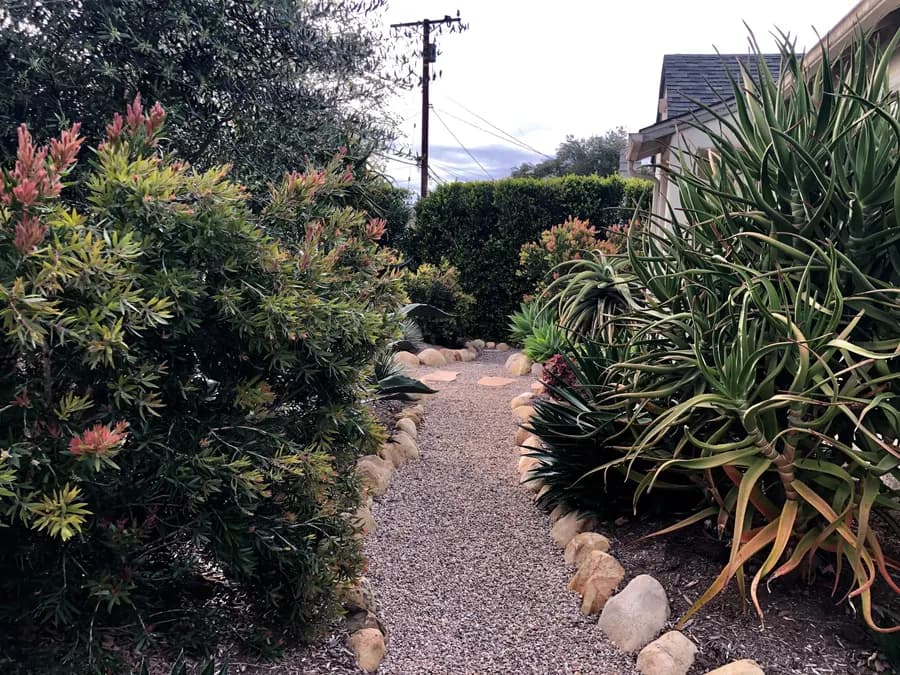 Robbins Street Rehab landscape project, photo 34