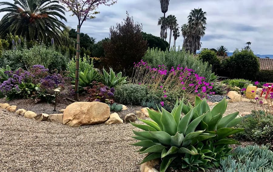 Sea Ranch Terrace landscape project, photo 1