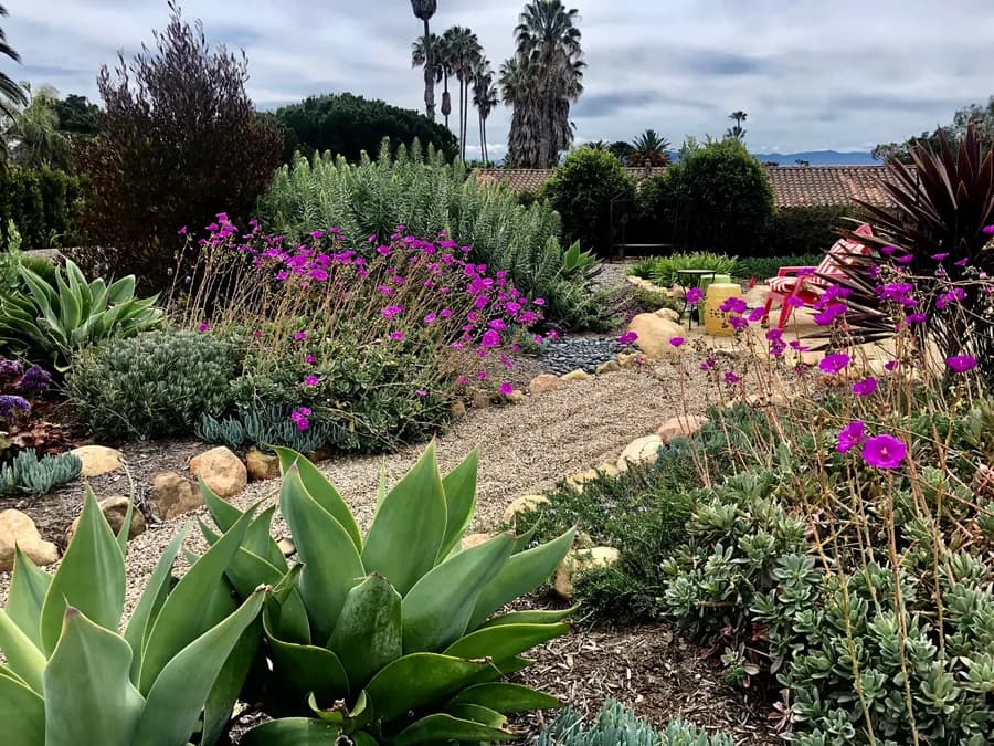 Sea Ranch Terrace landscape project, photo 3