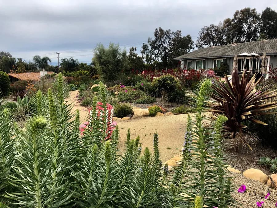 Sea Ranch Terrace landscape project, photo 4
