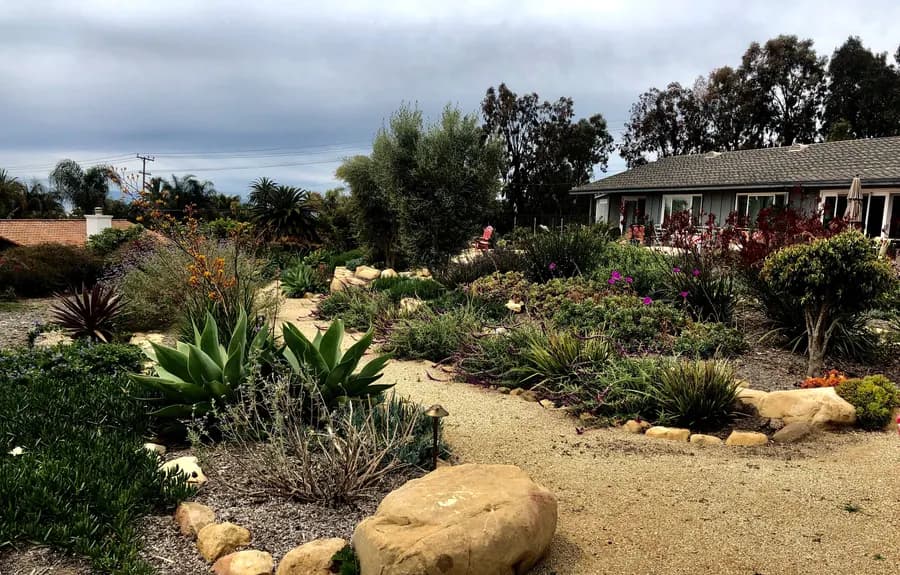 Sea Ranch Terrace landscape project, photo 2