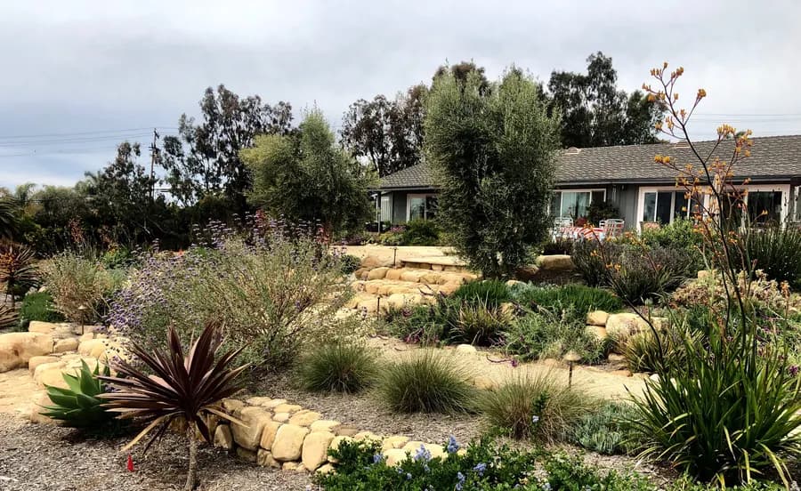 Sea Ranch Terrace landscape project, photo 11