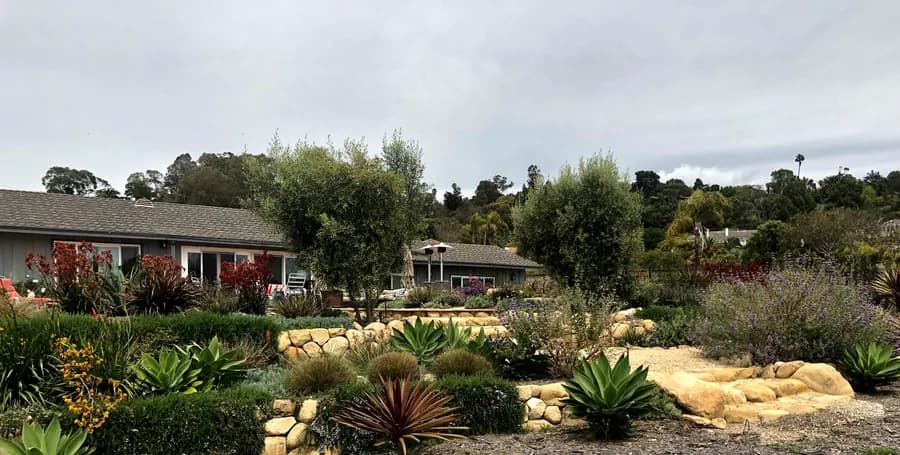 Sea Ranch Terrace landscape project, photo 12