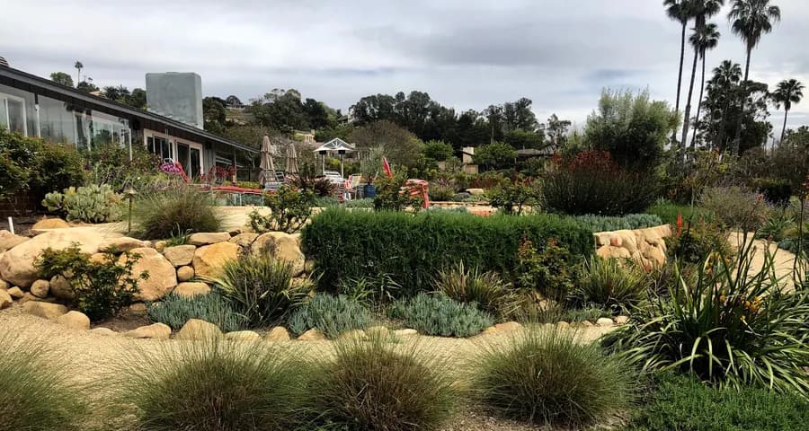 Sea Ranch Terrace landscape project, photo 8