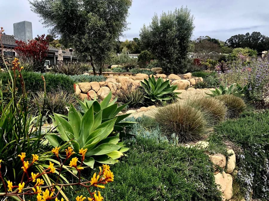 Sea Ranch Terrace landscape project, photo 5
