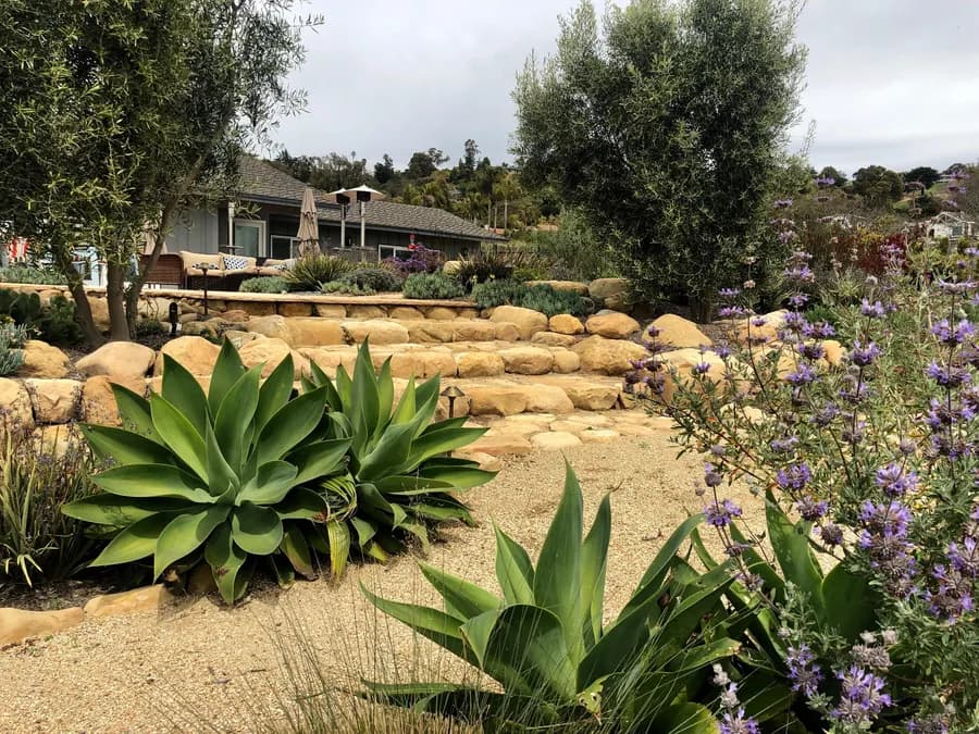 Sea Ranch Terrace landscape project, photo 9