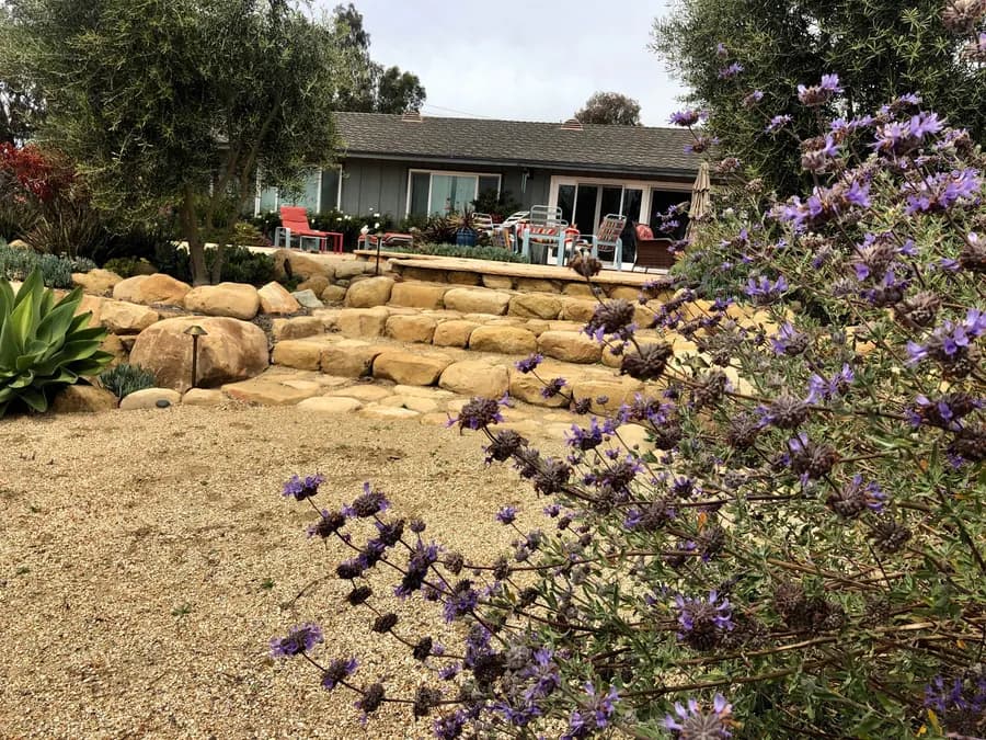 Sea Ranch Terrace landscape project, photo 40