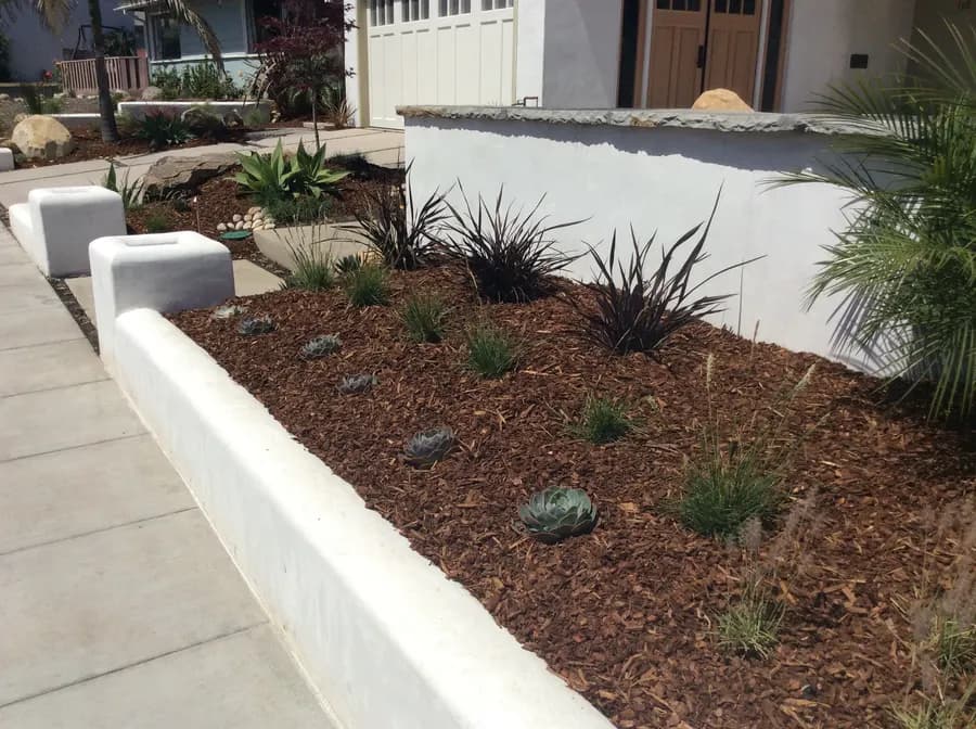 San Clemente landscape project, photo 15
