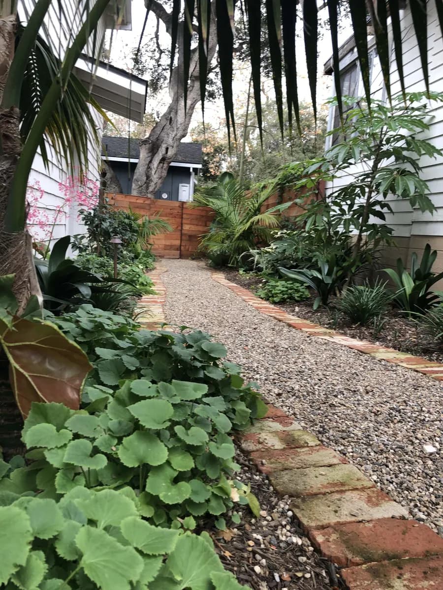 Humphrey Road landscape project, photo 16