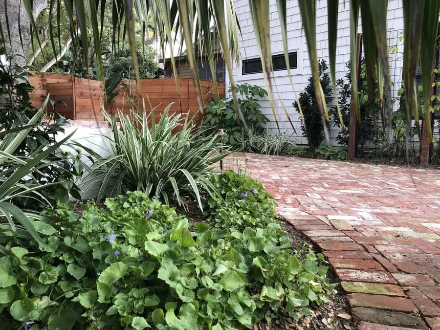Humphrey Road landscape project, photo 12