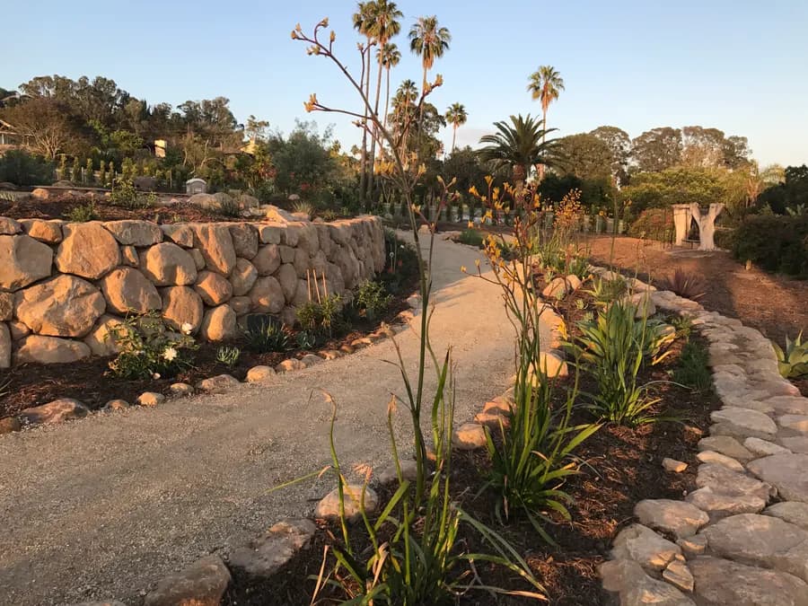 Sea Ranch Terrace landscape project, photo 21