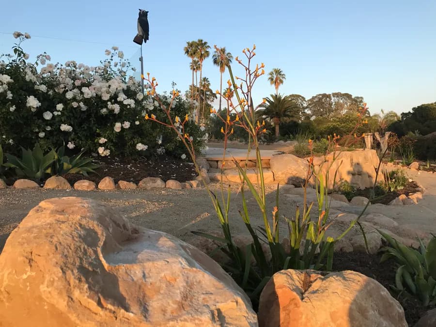 Sea Ranch Terrace landscape project, photo 23