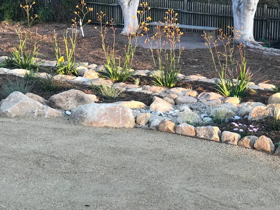 Sea Ranch Terrace landscape project, photo 25