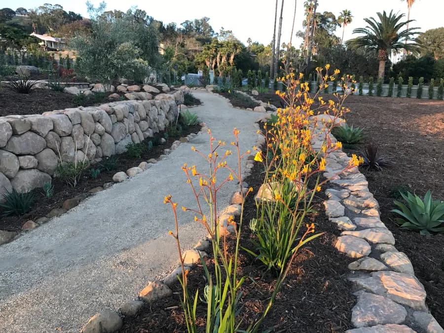 Sea Ranch Terrace landscape project, photo 27