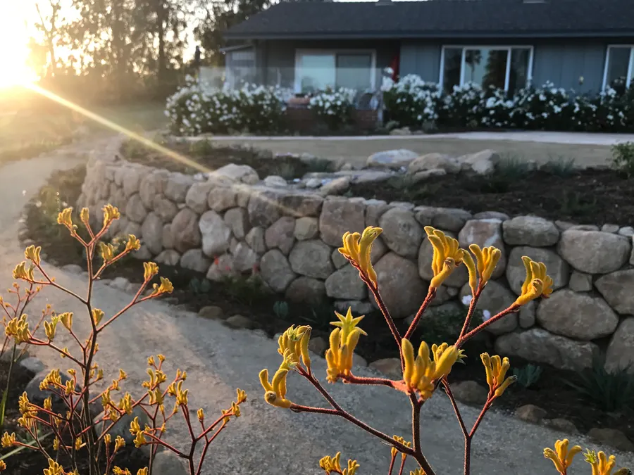 Sea Ranch Terrace landscape project, photo 28