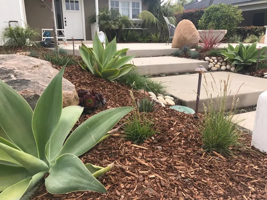 San Clemente landscape project, photo 18