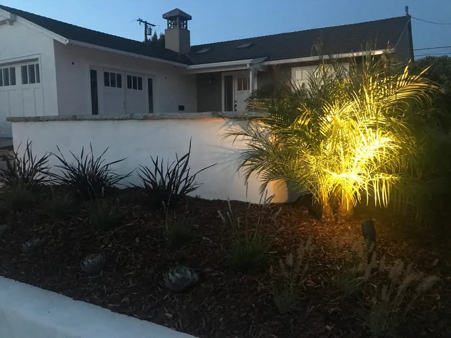 San Clemente landscape project, photo 22