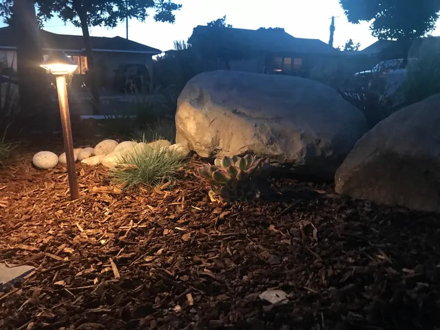 San Clemente landscape project, photo 23