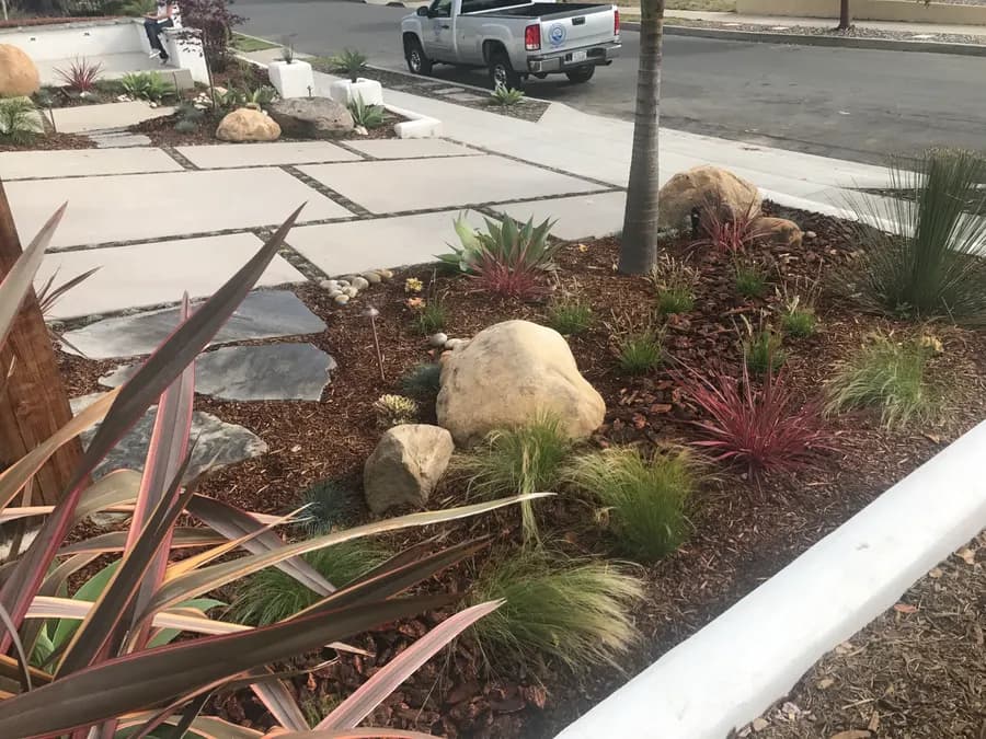 San Clemente landscape project, photo 24