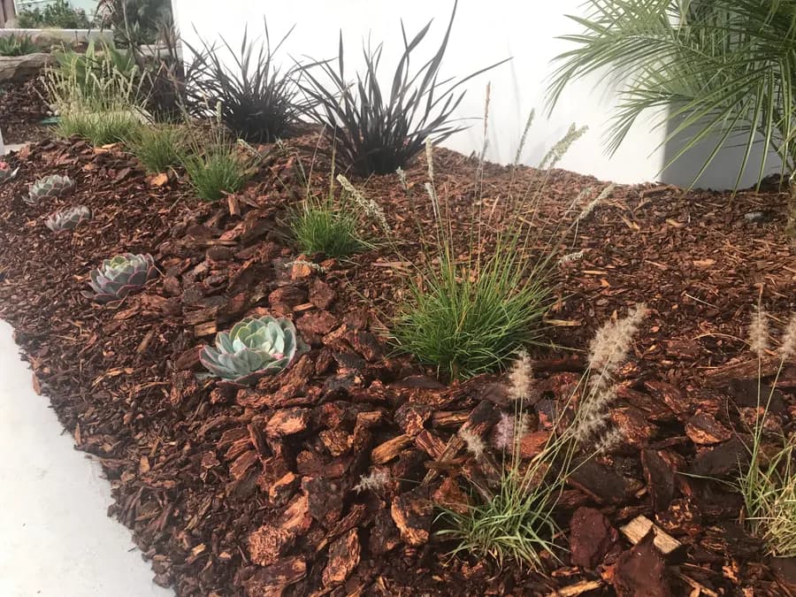 San Clemente landscape project, photo 25