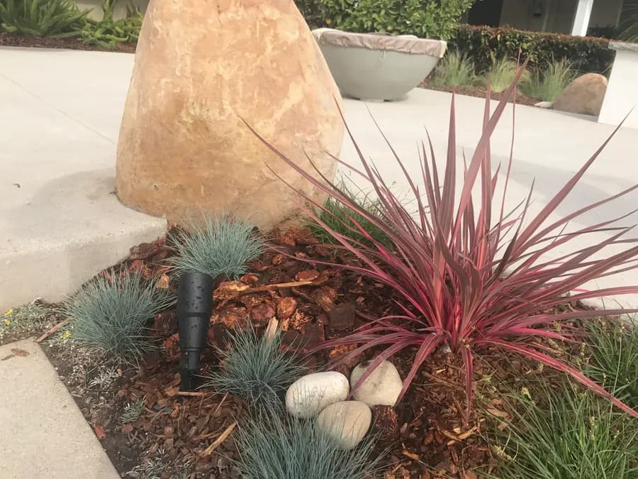 San Clemente landscape project, photo 26
