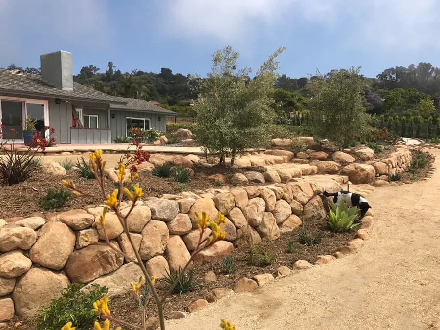 Sea Ranch Terrace landscape project, photo 34