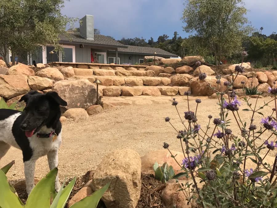 Sea Ranch Terrace landscape project, photo 36