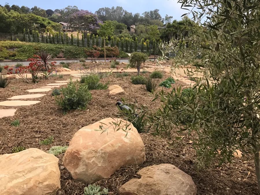 Sea Ranch Terrace landscape project, photo 35