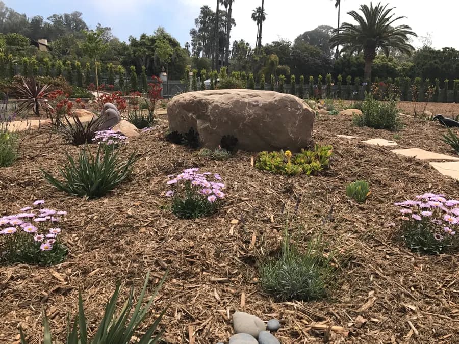 Sea Ranch Terrace landscape project, photo 37