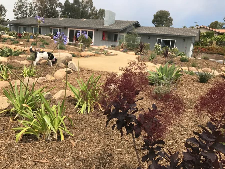 Sea Ranch Terrace landscape project, photo 38