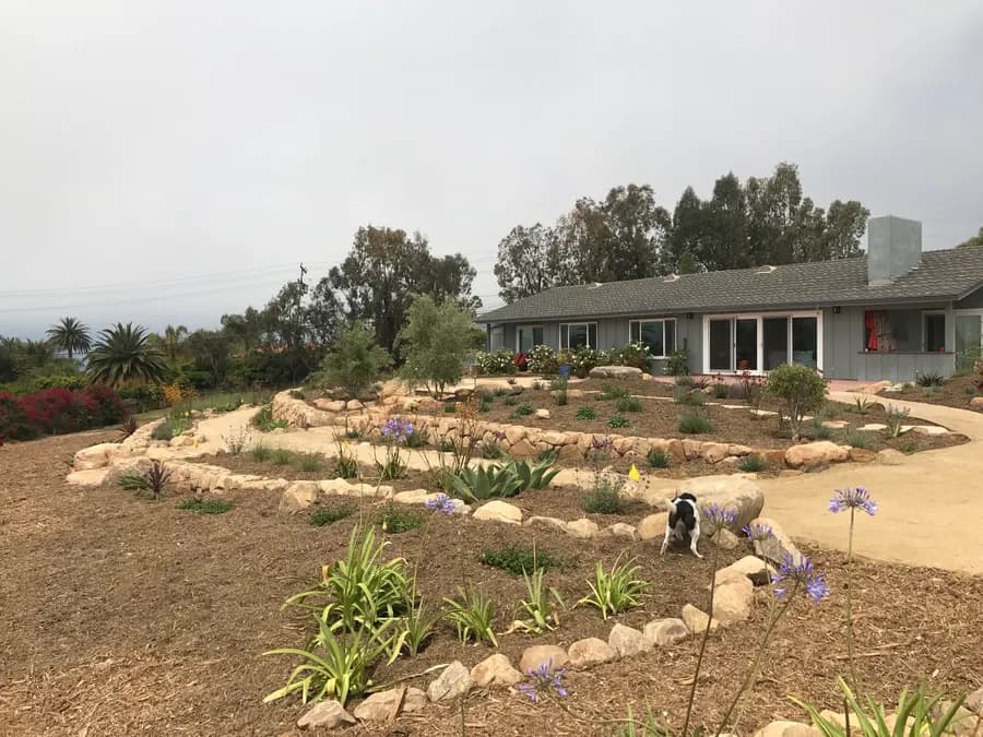 Sea Ranch Terrace landscape project, photo 39