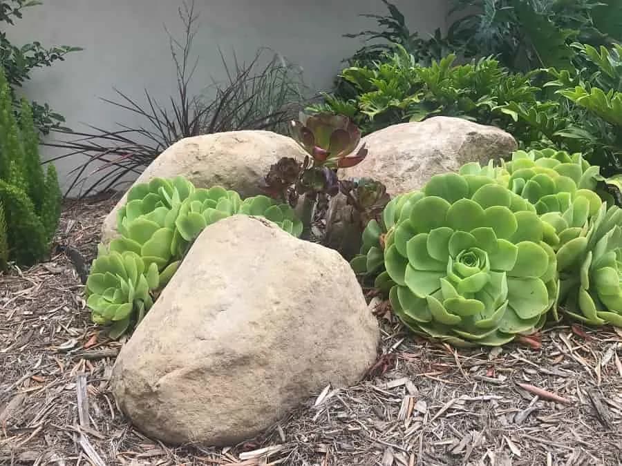 Morada landscape project, photo 3