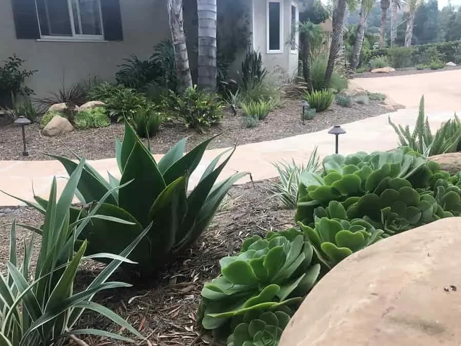 Morada landscape project, photo 4