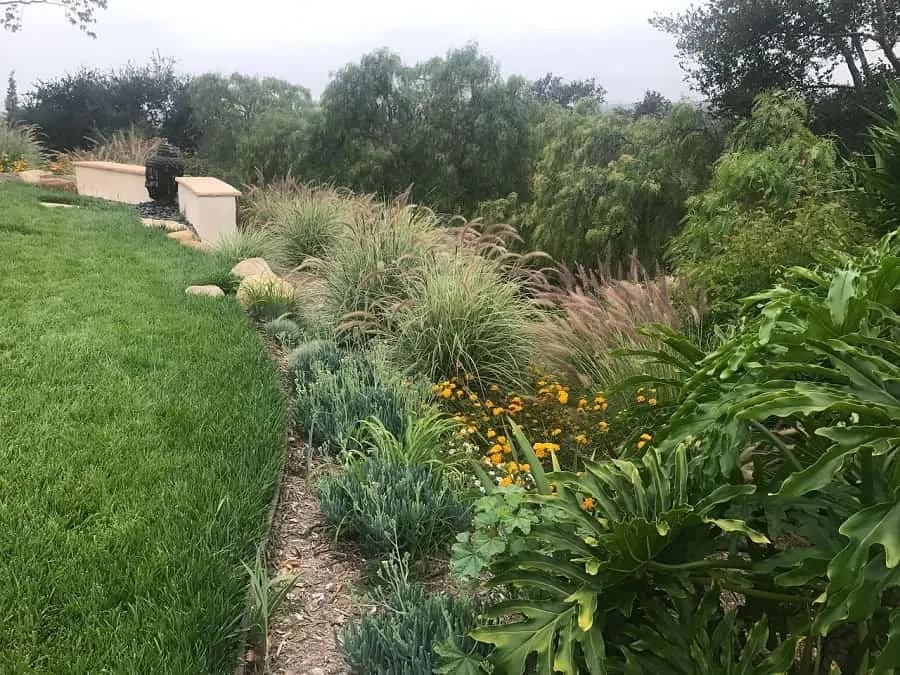 Morada landscape project, photo 13