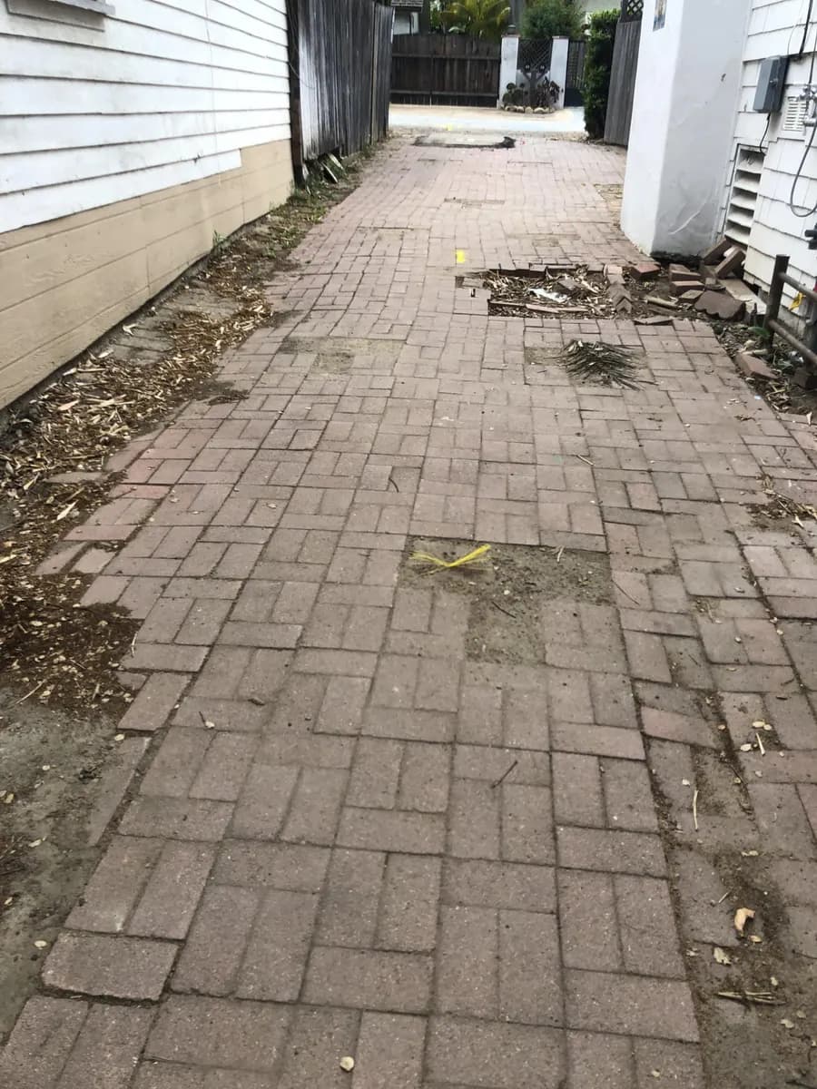 Humphrey Road landscape project, photo 1