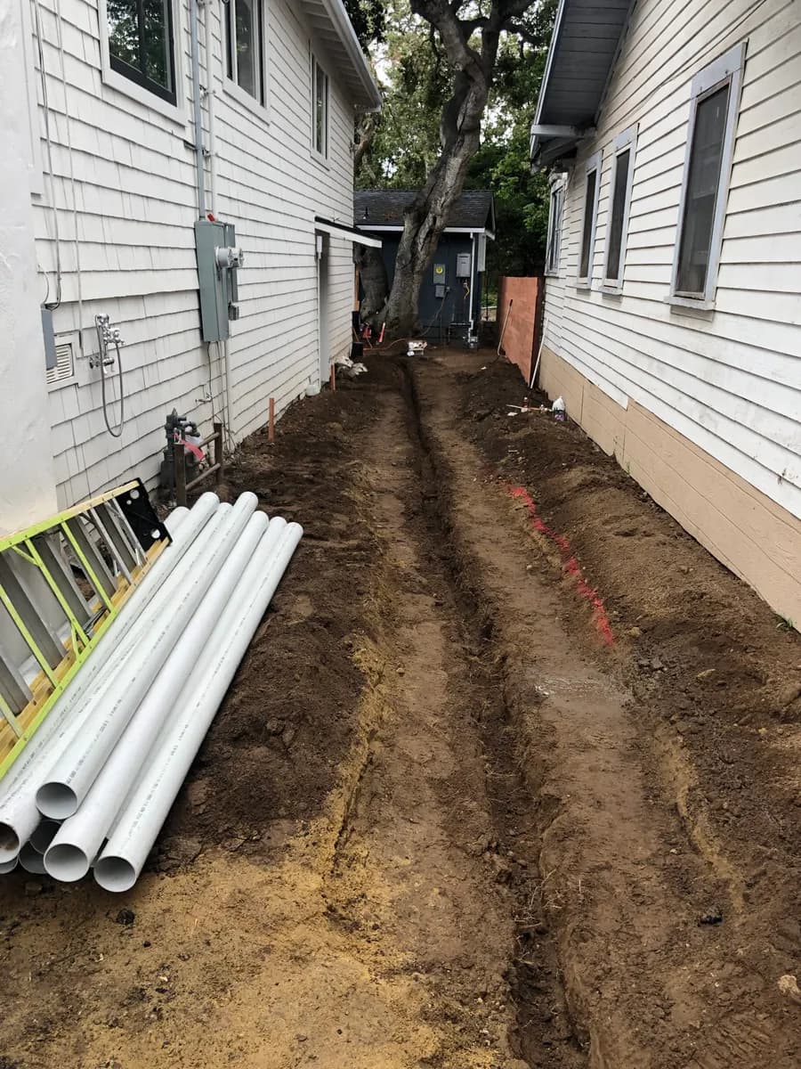 Humphrey Road landscape project, photo 22