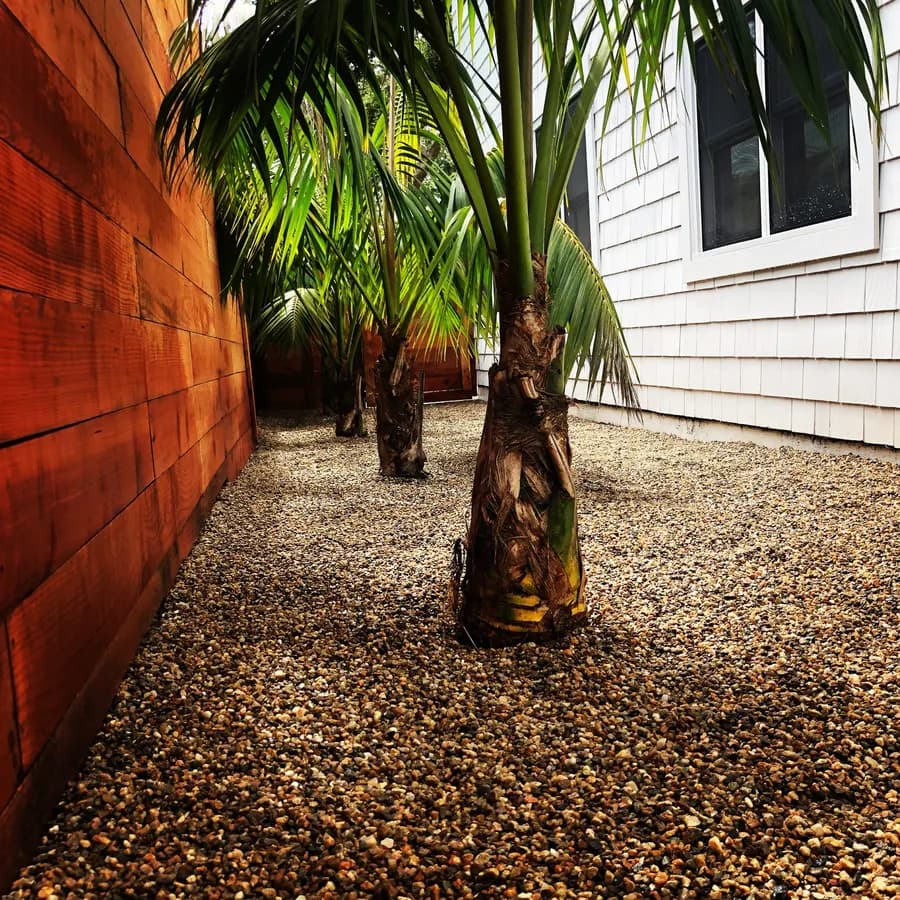 Humphrey Road landscape project, photo 31