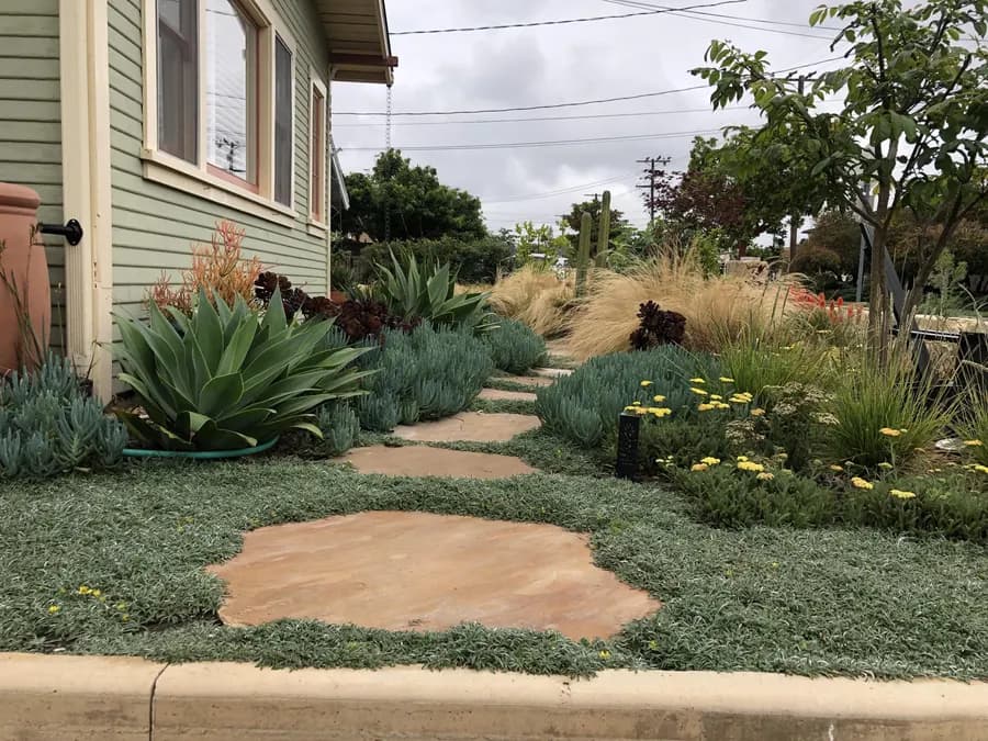 Westside Bungalow landscape project, photo 3