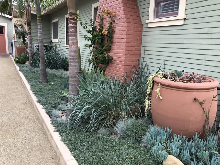 Westside Bungalow landscape project, photo 4