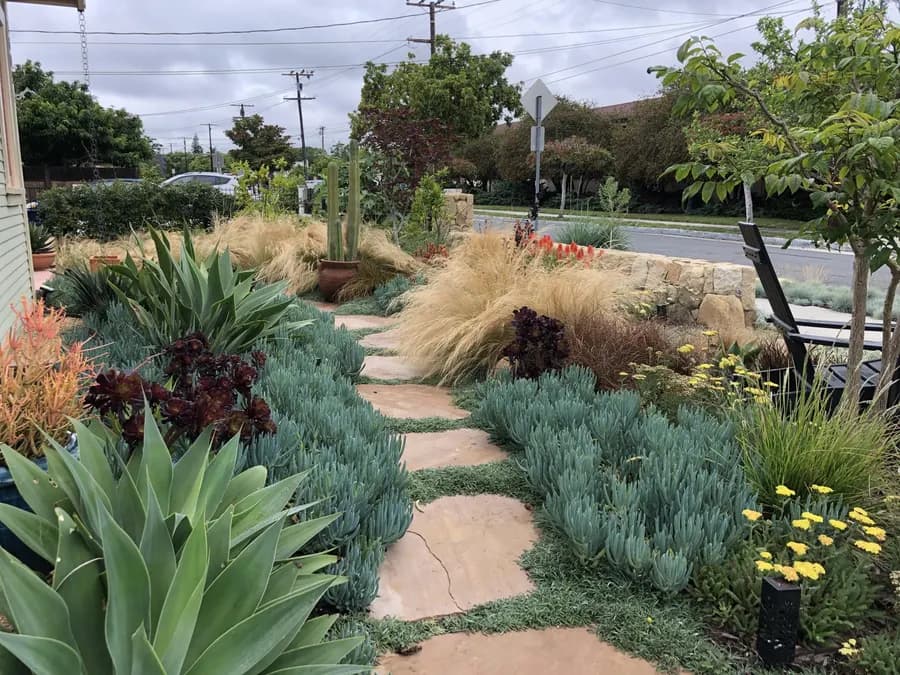 Westside Bungalow landscape project, photo 10