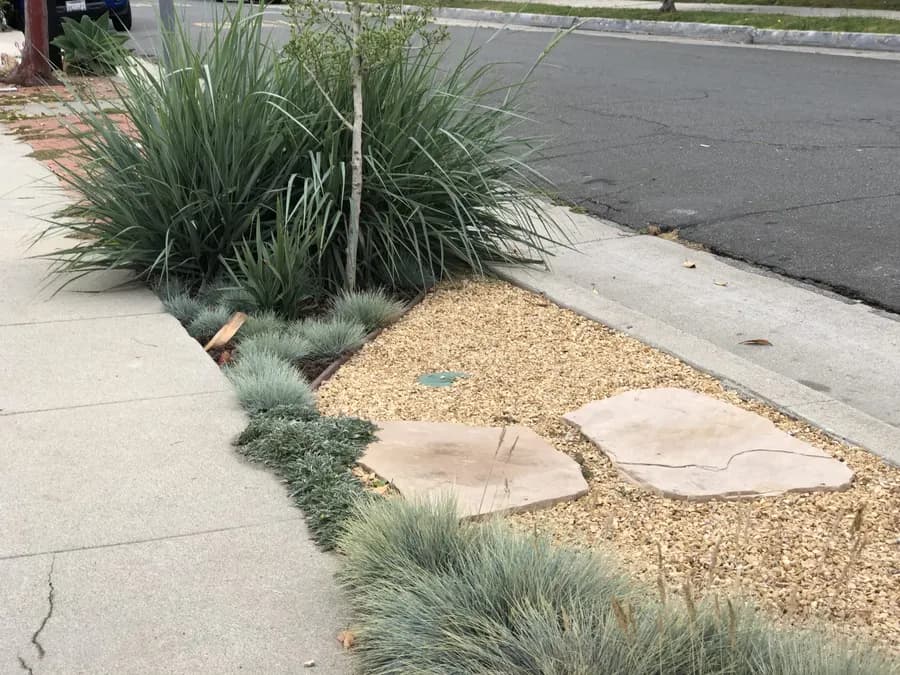 Westside Bungalow landscape project, photo 15