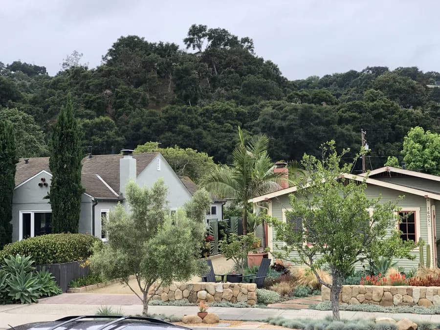 Westside Bungalow landscape project, photo 18