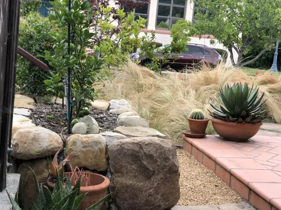Westside Bungalow landscape project, photo 24