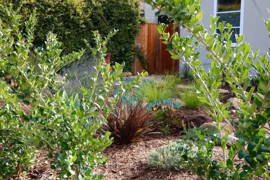 Calle Noguera landscape project