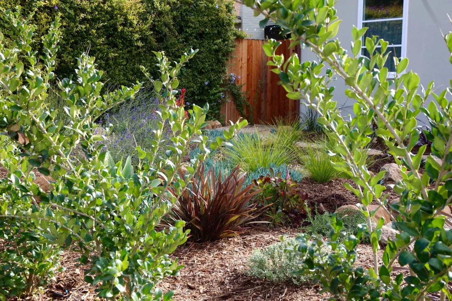 Calle Noguera landscape project