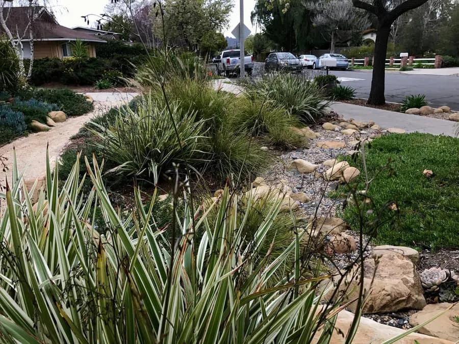 Grove Lane landscape project, photo 10