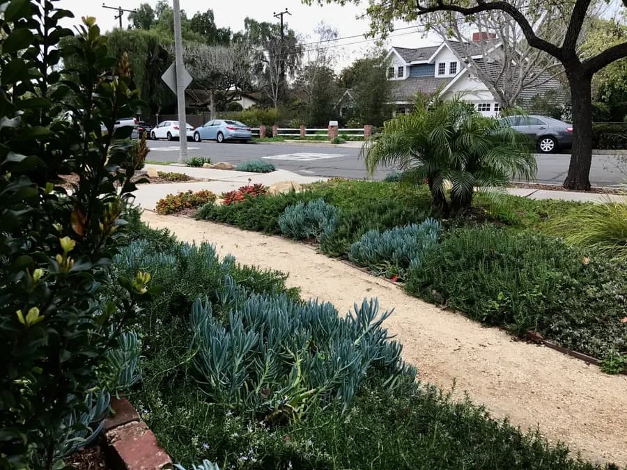 Grove Lane landscape project, photo 11