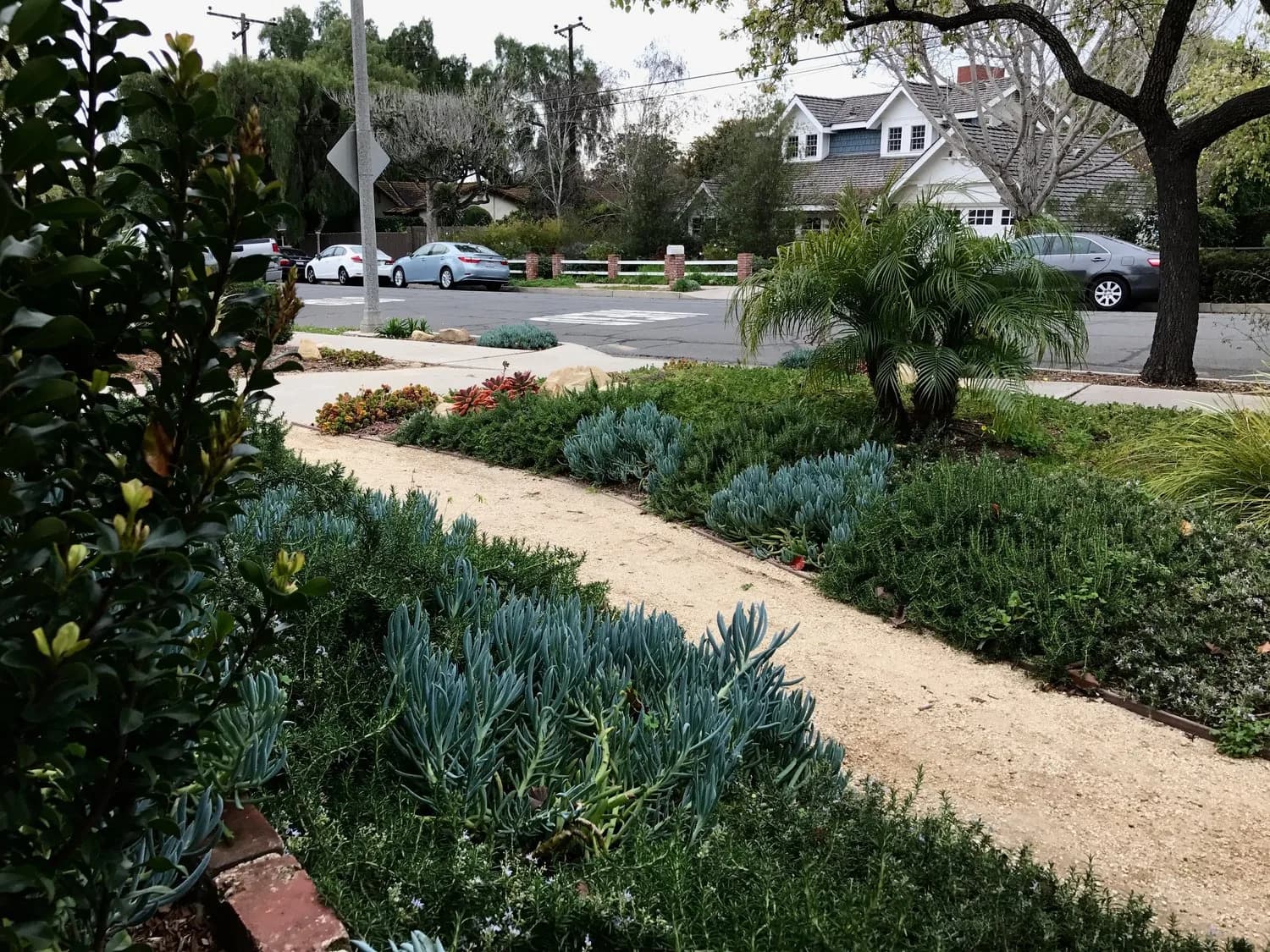 Grove Lane landscape project