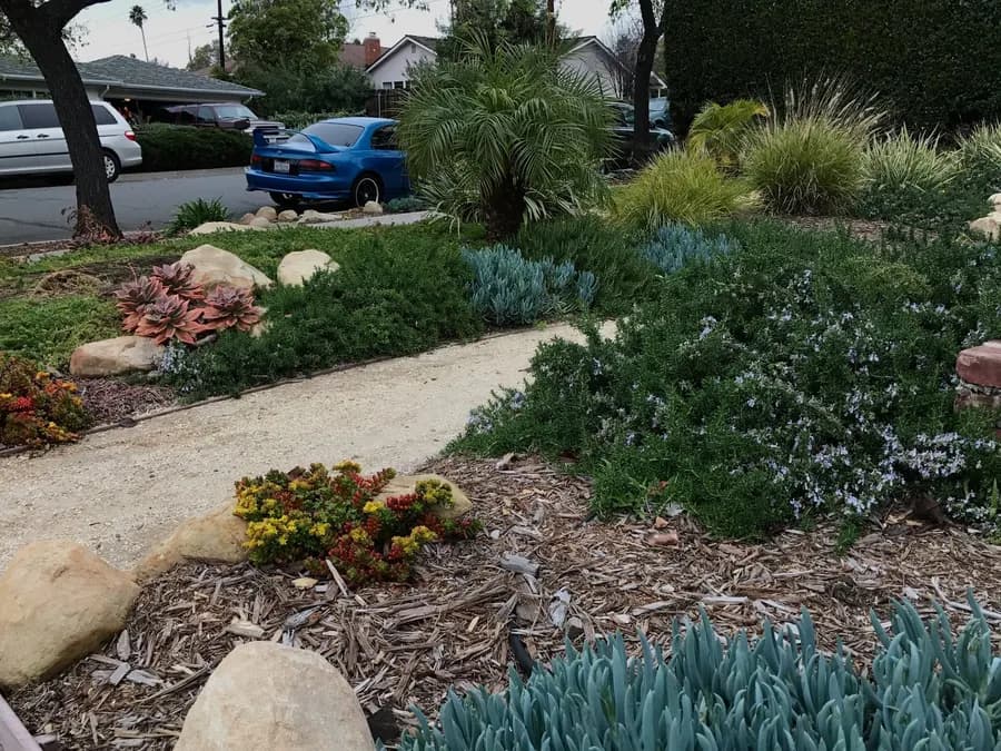 Grove Lane landscape project, photo 13